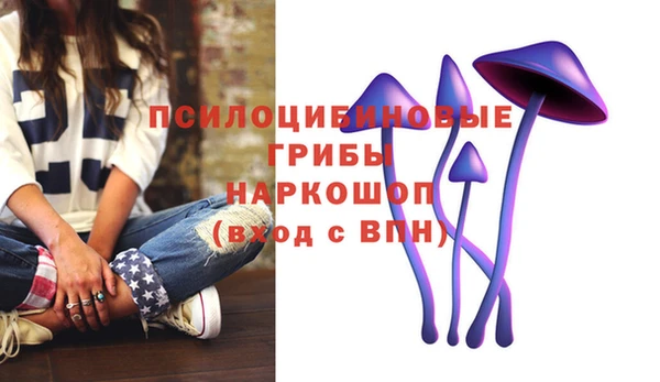 PSILOCYBIN Каменск-Шахтинский