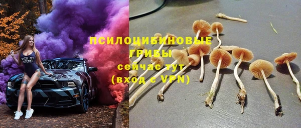 каннабис Каменногорск