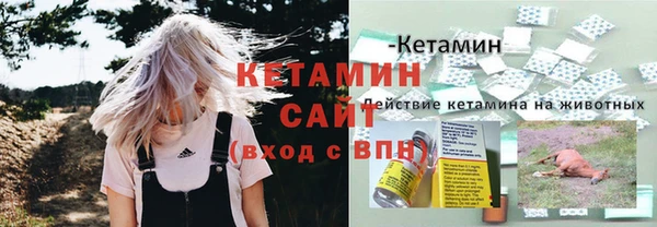 каннабис Каменногорск