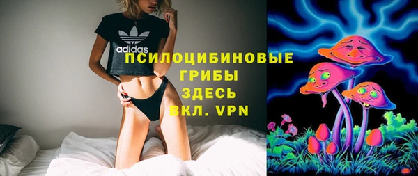 mdpv Касимов