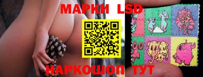 мяу мяу мука Кингисепп