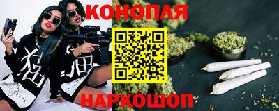 мяу мяу мука Кингисепп