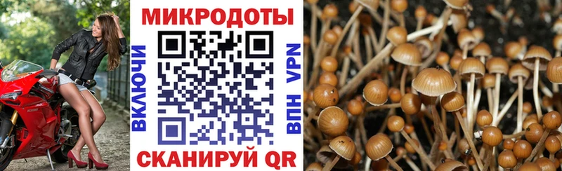 ОМГ ОМГ как войти  Северобайкальск  Галлюциногенные грибы ЛСД  купить наркотик 