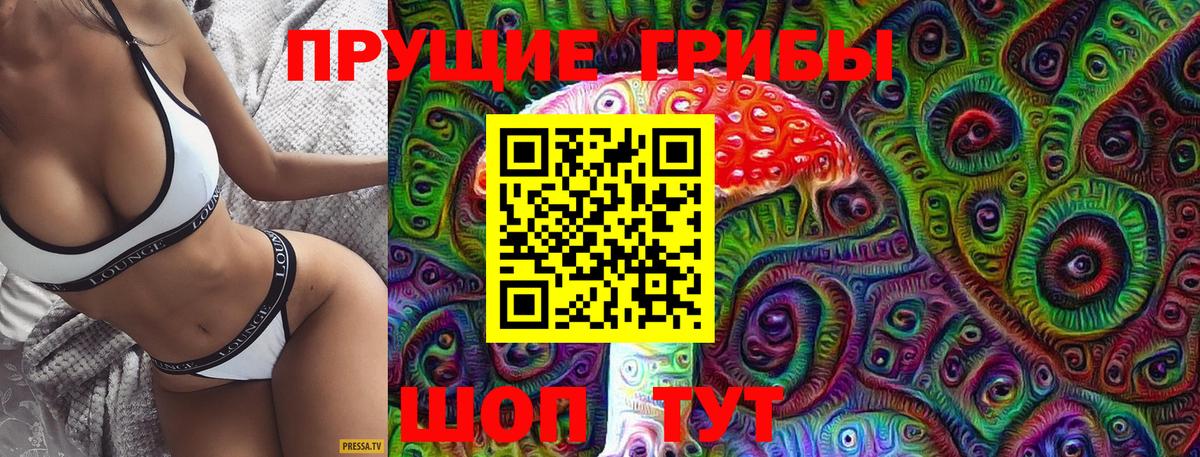 Галлюциногенные грибы GOLDEN TEACHER Северобайкальск