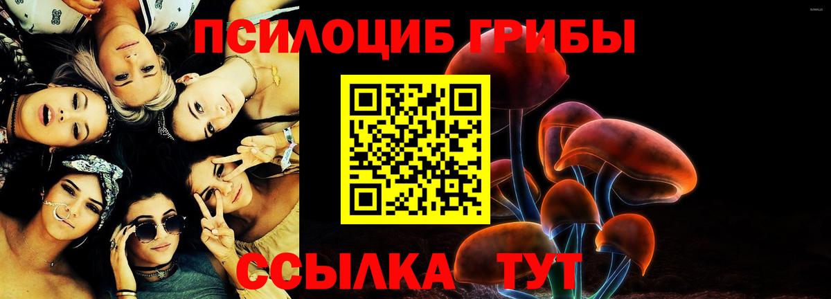 Псилоцибиновые грибы Psilocybine cubensis  Галлюциногенные грибы прущие грибы  Северобайкальск  Вход с VPN 